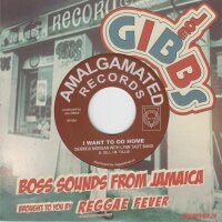 Give It To Me - Leroy Sibbles & Pioneers (7"...