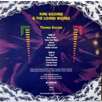 Teenage Gizzard - King Gizzard & The Lizard Wizard (LP, black)